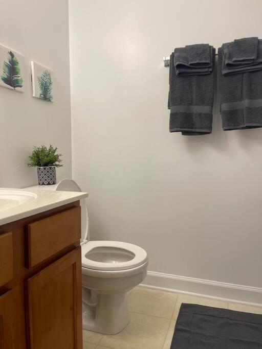 Apartamento Simple Elegant Townhouse Dt Raleigh Ncsu Exterior foto